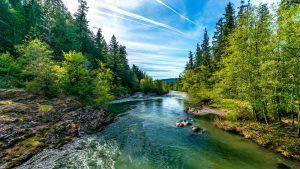 orthodontic office near me in sandy and gresham oregon, Harmony Orthodontics
