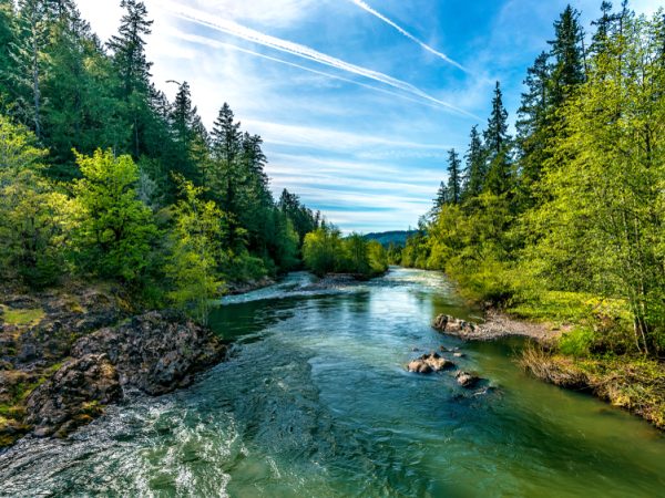 orthodontic office near me in sandy and gresham oregon, Harmony Pediatric Dentistry